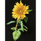 Diamond Paintings Art Full Drill Sunflower