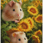 Full Round/Square Diamond Painting Kits | Hamster 50x70cm 60x80cm
