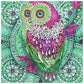 Diamond Paintings Art Full Drill Owl