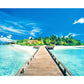 Quiet Beach Hand Painted Canvas Oil Art Picture Craft Home Wall Decor