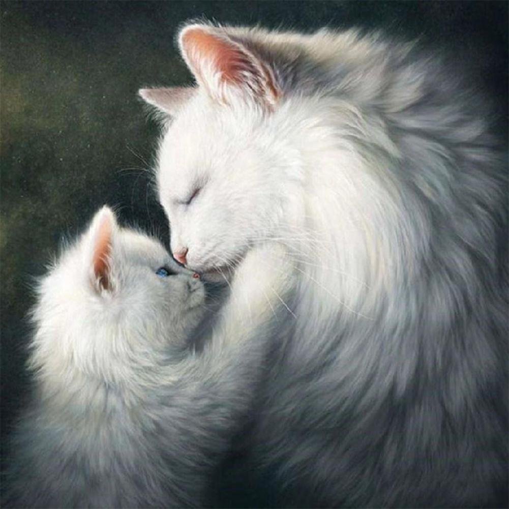 5D DIY Diamond Painting Kit - Full Round - Cat Mom & Kid