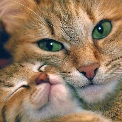 Diamond Painting art craft mum cat and baby kitten