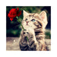 5D Diamond Painting Partial Round Cat Rose