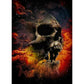5D Diy Diamond Painting Kit Full Round Beads Novelty Skull
