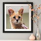 Diamond Painting - Full Round - Cat E