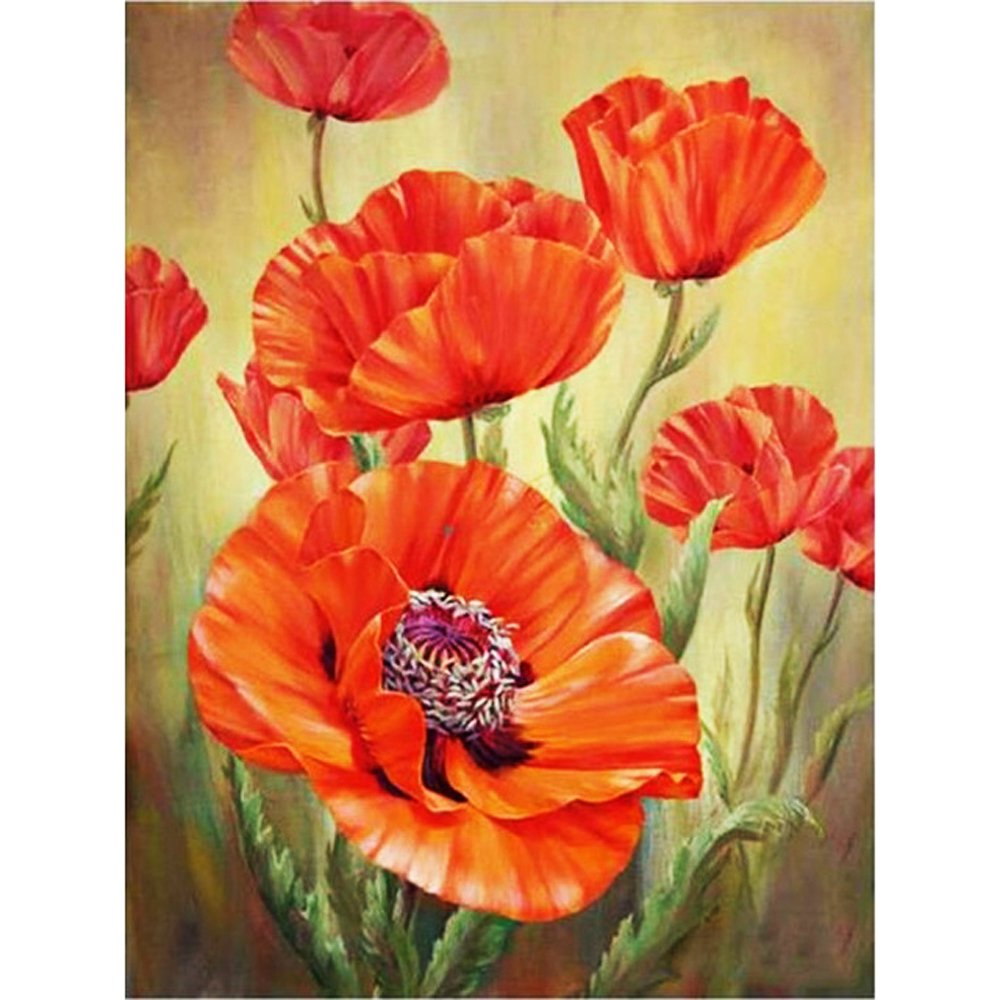 Diamond Paintings Art Full Drill Poppy Flower