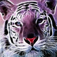 Diamond Painting - Full Round - Tiger