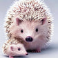Full Round/Square Diamond Painting Kits | Hedgehog 50x70cm 60x80cm B