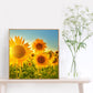 Diamond Painting - Full Round - Sunflower G