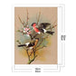 11ct Stamped Cross Stitch - Bird (40*50cm)