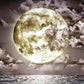Diamond Painting - Full Round - Moon