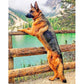 DIY Unframed Running Dog See the Scenery Oil Painting Picture By Numbers