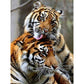 Tiger Diamond Mosaic Embroidery Kit 