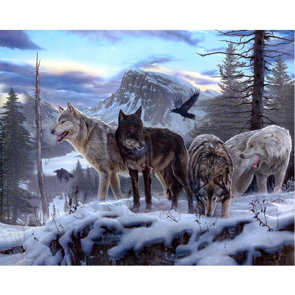 Diamond Painting Partial Round Snow Wolf