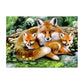 Diamond Painting Partial Round Fox Family
