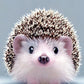 Full Round/Square Diamond Painting Kits | Hedgehog 50x70cm 60x80cm A