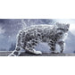 Paint By Number Kit Drawing Snow Leopard Canvas Acrylic Home Wall Decor