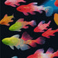 Full Round/Square Diamond Painting Kits | Fish 40x50cm 50x70cm