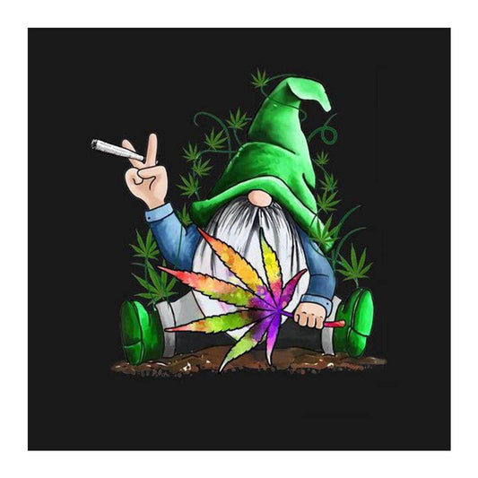 5D Diy Diamond Painting Kit Full Round Beads Cartoon Gnome