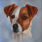 Diamond Painting - Full Round - Dog 9