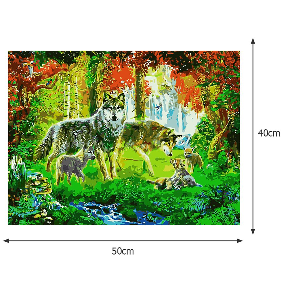 Paint By Number - Oil Painting - Wolf (40*50cm) F