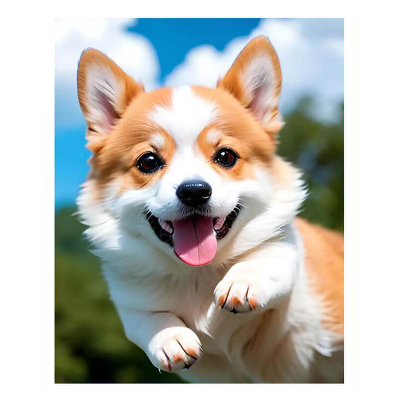 happy dog diamond painting