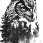 Owl Tree View 5D DIY Diamond Painting