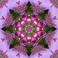 Pink Mandala Full Round / Square Diamond Painting