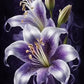 Purple Flower Diamond Painting