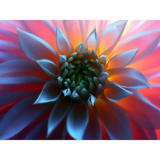 Diamond Painting - Full Round / Square - Fancy Succulent
