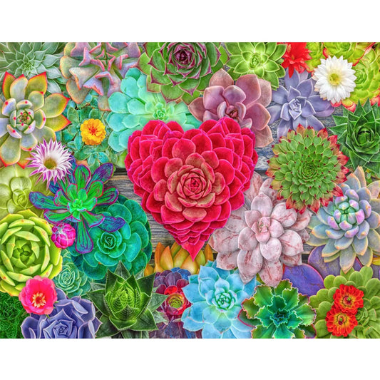 succulents diamond art
