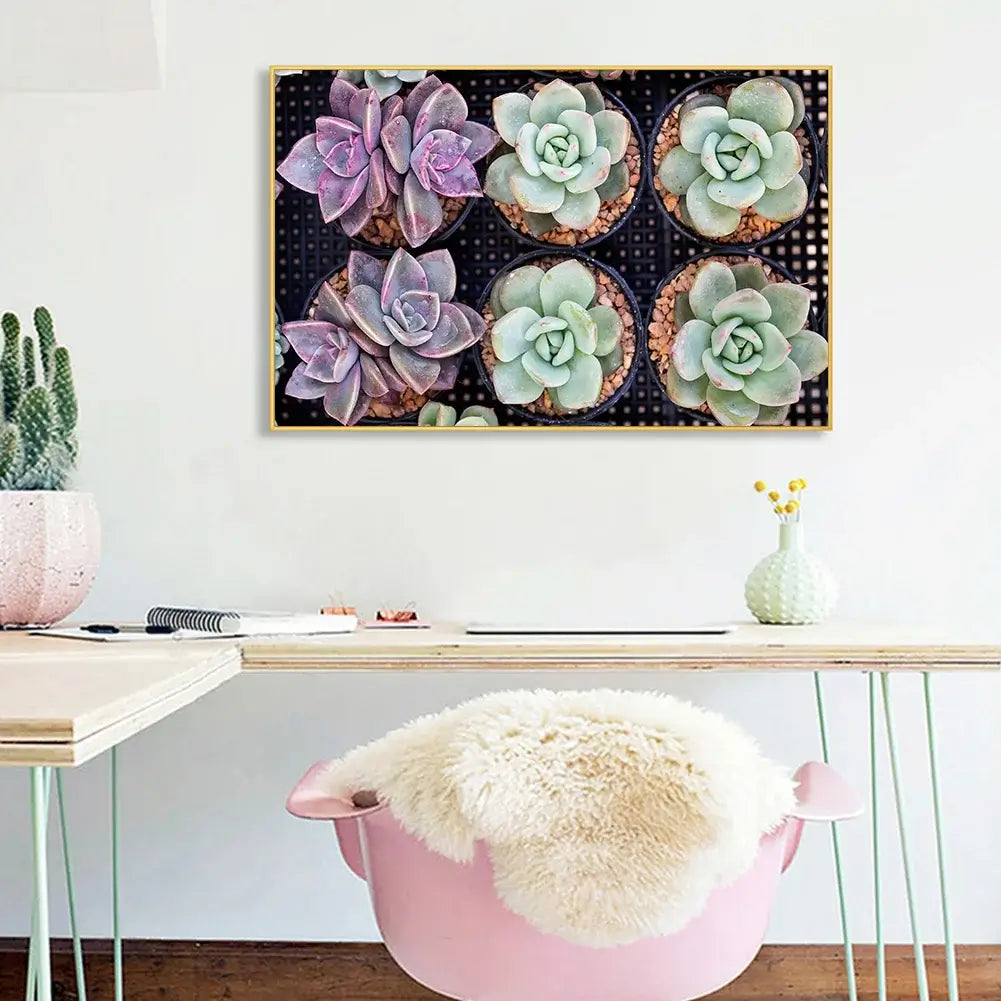 succulents diamond art kit