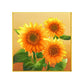 5D DIY Diamond Painting - Full Round / Square - Three Sunflowers