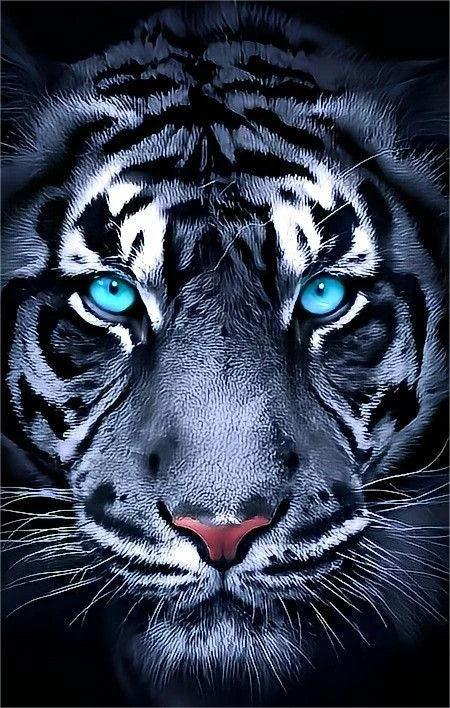 Tiger Face 5D DIY Diamond Painting