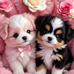 DIY Animal Diamond Painting Kit - Full Round / Square - Two Puppies