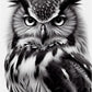 5D DIY Diamond Painting - Full Round / Square - White Black Owl B