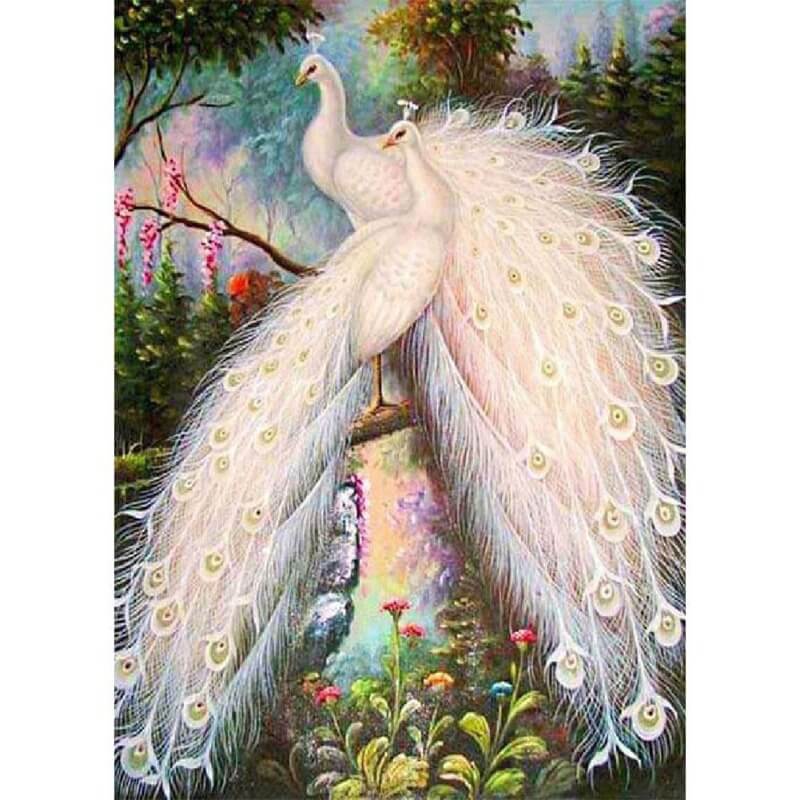 white peacock diamond painting kit